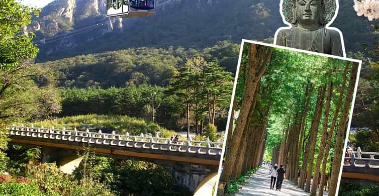 ⛩️ 우타스 신사 이미지 1